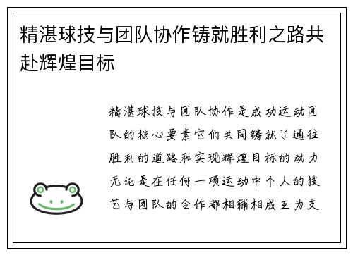 精湛球技与团队协作铸就胜利之路共赴辉煌目标